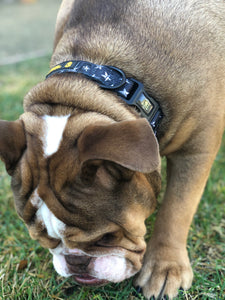 “Rockstar ” Collar With Bow Tie