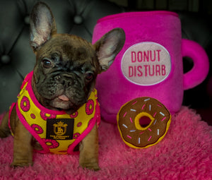 ✨New✨ “Donut life “ Puppy Adjustable Harness