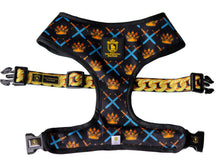 🔥NEW ARRIVAL🔥 “King of farts”👑⚔️⛓💨 Luxury Reversible Harness