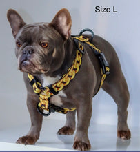 ✨NEW ✨ “King of Farts “ Gold Chain Strap harness  👑⚔️⛓💨