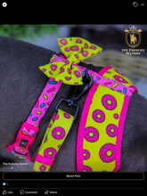 ✨New✨ “Donut life” Adjustable leash