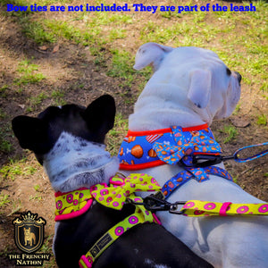 ✨New✨ “Finger licking good” Adjustable leash