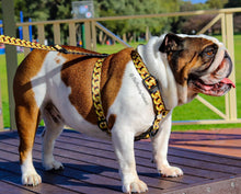 ✨NEW ✨ “King of Farts “ Gold Chain Strap harness  👑⚔️⛓💨