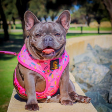 "Donut Life" Reversible Harness