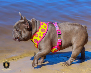 "Donut Life" Reversible Harness