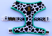 “Milk & Cookies” Reversible Harness