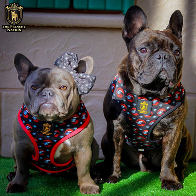 DIAMOND HEIST - STEALTHY BLACK