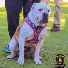 “Finger Licking Good"  Adjustable Harness ✨Bulldog collection ✨