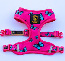 🔥NEW ARRIVAL 🔥 “FABULOUS DARLING” 🎀💕Puppy Adjustable Harness