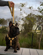 ✨NEW ✨ “King of Farts “ Gold Chain Strap harness  👑⚔️⛓💨