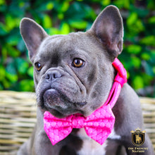 “Fabulous Darling “ Collar With Bow Tie