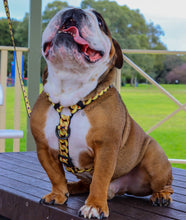 ✨NEW ✨ “King of Farts “ Gold Chain Strap harness  👑⚔️⛓💨