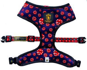 🔥NEW ARRIVAL🔥 “What Happens In Vegas” Luxury Reversible Harness