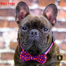 "What happens in Vegas"  Collar & Bow Tie