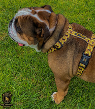 ✨NEW ✨ “King of Farts “ Gold Chain Strap harness  👑⚔️⛓💨