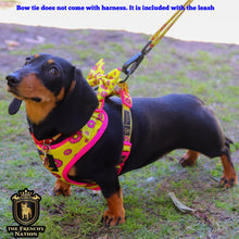 ✨New✨ “Donut life” Adjustable leash
