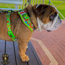 ✨NEW✨ “Heartbreaker “ Bulldog Adjustable Harness ✨Bulldog Collection ✨