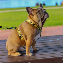 ✨NEW ✨ “King of Farts “ Gold Chain Strap harness  👑⚔️⛓💨
