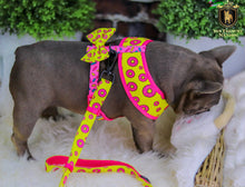 ✨New✨ “Donut life” Adjustable leash