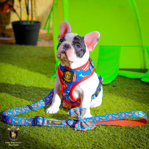 ✨New✨ “Finger licking good” Adjustable leash