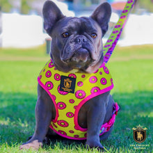 "Donut Life" Reversible Harness