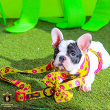 ✨New✨ “Donut life” Adjustable leash
